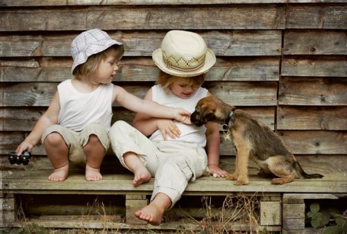  Hello doggy, what's your name?   Image from  Les Petites Choses 